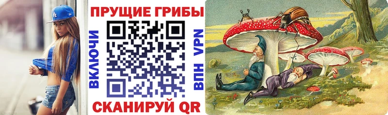 Галлюциногенные грибы прущие грибы  Архангельск 
